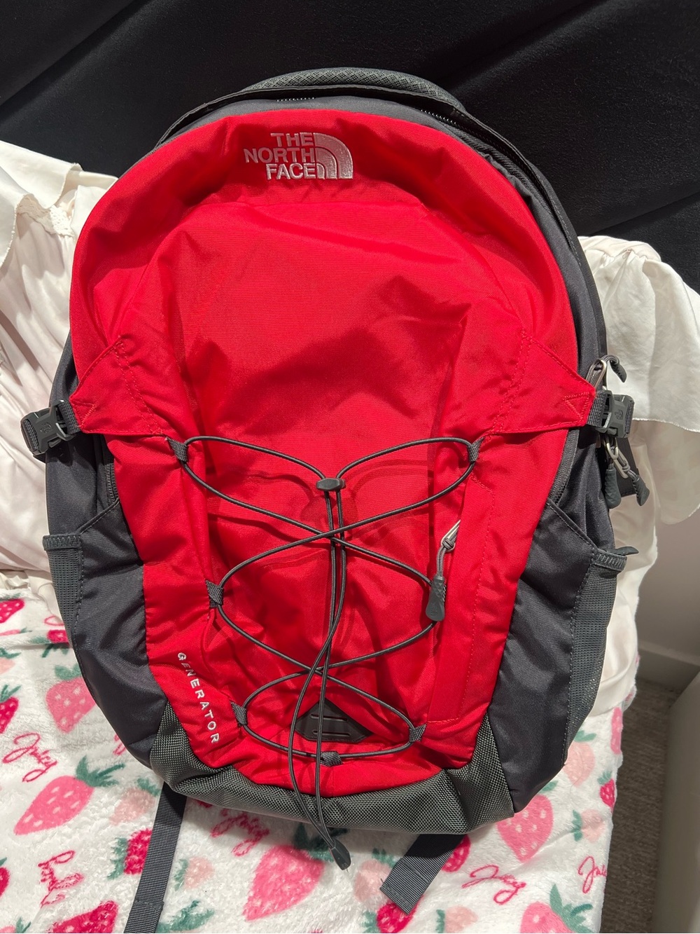 The North Face Red and Grey Backpack